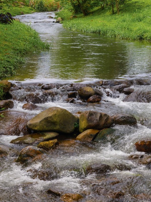 https://hubhive.biz/wp-content/uploads/2026/08/Boquete-stream-18x24-1-600x800.jpg