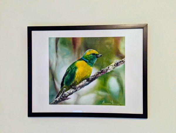 https://hubhive.biz/wp-content/uploads/2026/08/Chlorophonia-in-Oil-600x452.jpg