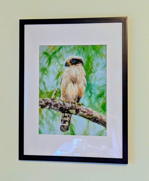 https://hubhive.biz/wp-content/uploads/2026/08/Laughing-Falcon-600x728.jpg