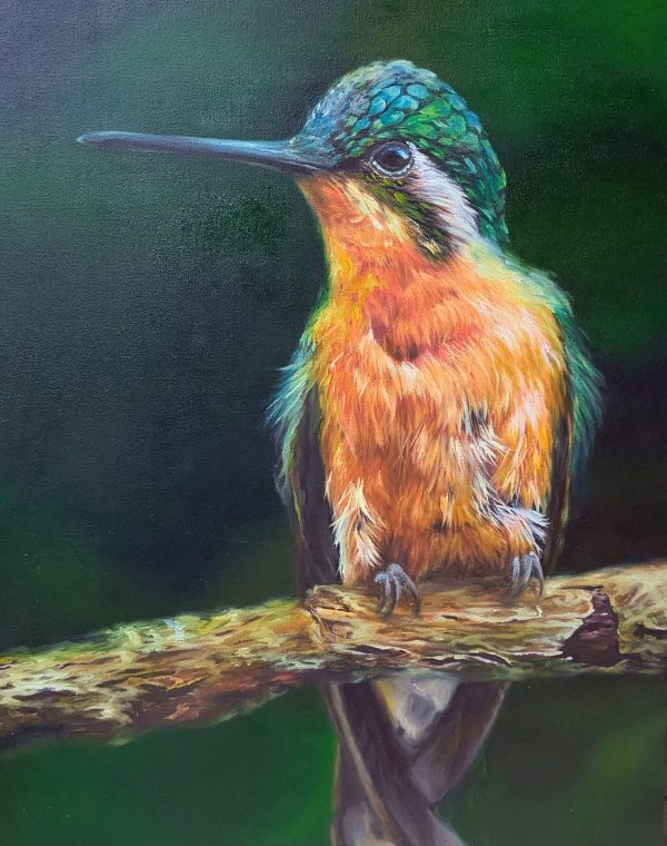 https://hubhive.biz/wp-content/uploads/2026/08/Mountain-Gem-Hummingbird-600x760.jpg